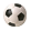 Soccer League